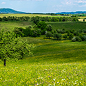 Landschaftsaufnahme der Eifel. Grüne Hügel soweit das Auge reicht