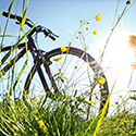 Gruppenradtour durchs Grüne