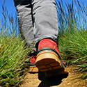 Wanderer marschiert durch eine saftig grüne Graslandschaft
